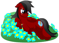 Size: 10800x7800 | Tagged: safe, artist:xniclord789x, oc, oc only, oc:ruby, absurd resolution, flower, kicking, pregnant, scar, simple background, transparent background