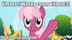 Size: 1280x717 | Tagged: safe, derpibooru import, cheerilee, fourth wall, image macro, meme