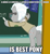 Size: 464x500 | Tagged: safe, derpibooru import, edit, edited screencap, screencap, the crystal empire, best pony, bipedal, chalk, chalkboard, covalent bond, cropped, dexterous hooves, hoof hold, image macro, math, solo