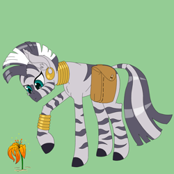 Size: 750x750 | Tagged: safe, artist:deusexequus, zecora, zebra, simple background, solo