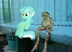 Size: 478x349 | Tagged: safe, derpibooru import, lyra heartstrings, frog, pony, bench, irl, meme, photo, ponies in real life, sitting, sitting lyra, vector