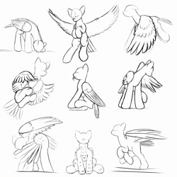 Size: 1000x1001 | Tagged: safe, artist:redquoz, bird, bird pone, pegasus, pony, black and white, drinking, eating hay, fluffy, flying, grayscale, grooming, landing, monochrome, no face, perching, preening, sketch, sketch dump, tail feathers, unusual perspective