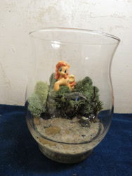 Size: 3000x4000 | Tagged: safe, artist:brenlysoddiments, bumblesweet, oc, irl, photo, terrarium, toy