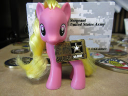 Size: 1000x750 | Tagged: safe, derpibooru import, cherry berry, annoy your coworkers, army, brushable, buisness card holder, irl, photo, pony toy, solo, toy