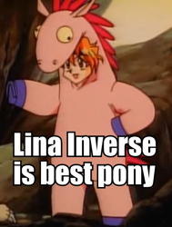 Size: 516x682 | Tagged: safe, derpibooru import, barely pony related, best pony, clothes, costume, image macro, lina inverse, pony costume, slayers