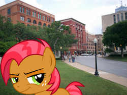Size: 1600x1200 | Tagged: safe, babs seed, human, pony, one bad apple, assassination, dallas, dealey plaza, grin, irl, jfk assassination, john f. kennedy, photo, ponies in real life, solo, vector