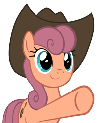 Size: 632x736 | Tagged: safe, artist:aggressively pastel, derpibooru import, wildwood flower, earth pony, pony, the last roundup, background pony, cowboy hat, female, hat, hooves, mare, perspective, pointing, simple background, svg, transparent background, underhoof, vector