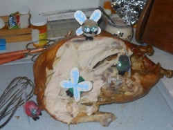 Size: 864x648 | Tagged: safe, artist:eratosofcyrene, parasprite, cooked, dead, food, irl, thanksgiving, turkey