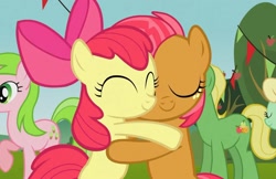 Size: 1621x1049 | Tagged: safe, screencap, apple bloom, apple honey, apple tarty, babs seed, red gala, wensley, earth pony, pony, apple family reunion, apple family member, hug