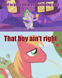 Size: 500x626 | Tagged: safe, derpibooru import, edit, edited screencap, screencap, big macintosh, spike, dragon, earth pony, pony, the ticket master, gala ticket, golden ticket, grand galloping gala, image macro, king of the hill, male, stallion