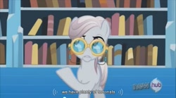 Size: 853x474 | Tagged: safe, derpibooru import, screencap, amethyst maresbury, the crystal empire, crystal empire, librarian, library, terrorist, youtube caption