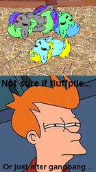 Size: 300x535 | Tagged: safe, artist:marcusmaximus, fluffy pony, fluff pile, fluffy pony pet shop, futurama, image macro, meme, philip j. fry