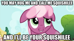 Size: 625x350 | Tagged: safe, derpibooru import, edit, edited screencap, screencap, cheerilee, secret of my excess, bronybait, finding nemo, hub logo, hug, image macro, squishilee, squishy