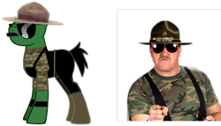 Size: 700x398 | Tagged: safe, derpibooru import, ponified, sgt. slaughter, simple background, white background, wwe