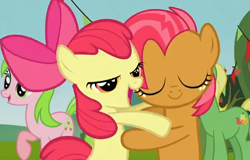 Size: 532x340 | Tagged: safe, screencap, apple bloom, babs seed, red gala, wensley, apple family reunion, apple family member, appleseed, bedroom eyes, female, lesbian, out of context, shipping