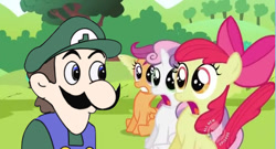 Size: 641x346 | Tagged: safe, derpibooru import, apple bloom, scootaloo, sweetie belle, cutie mark crusaders, weegee