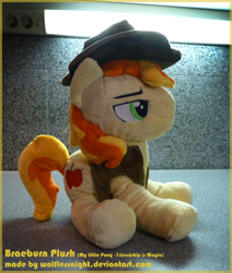 Size: 810x953 | Tagged: safe, artist:wolflessnight, derpibooru import, braeburn, clothes, hat, irl, photo, plushie, solo, vest