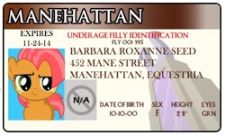 Size: 500x300 | Tagged: safe, artist:doctorxfizzle, babs seed, earth pony, pony, female, filly, full name, license