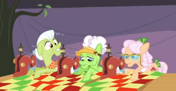 Size: 588x304 | Tagged: safe, screencap, apple rose, auntie applesauce, granny smith, apple family reunion