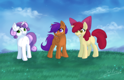 Size: 888x574 | Tagged: safe, artist:ronnie-wolf, derpibooru import, apple bloom, scootaloo, sweetie belle, cutie mark crusaders