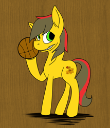 Size: 904x1054 | Tagged: safe, artist:cardigan-poni, oc, oc only, pony, valpony