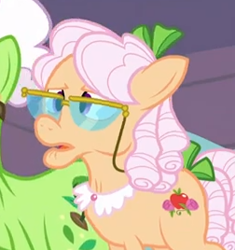 Size: 252x268 | Tagged: safe, screencap, apple rose, auntie applesauce, earth pony, pony, apple family reunion, cropped, elderly, female, glasses, mare, solo focus