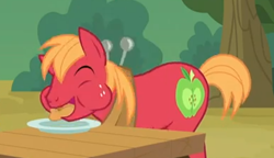 Size: 388x224 | Tagged: safe, screencap, big macintosh, earth pony, pony, apple family reunion, apple fritter (food), eating, male, stallion