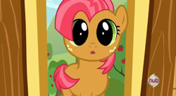 Size: 1920x1052 | Tagged: safe, screencap, babs seed, one bad apple, covering, tail covering