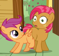 Size: 577x554 | Tagged: safe, screencap, babs seed, scootaloo, one bad apple, babscoot, butt bump, butt to butt, butt touch, grinding, out of context, surprised, wingboner