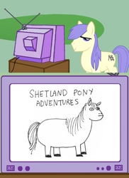 Size: 400x550 | Tagged: safe, exploitable meme, hark a vagrant, meme, shetland pony, shortround, tv meme