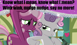 Size: 1200x700 | Tagged: safe, edit, edited screencap, screencap, cheerilee, sweetie belle, hearts and hooves day (episode), caption, classroom, duo, heart, hearts and hooves day, if you know what i mean, image macro, meme, monty python, monty python's flying circus, nudge, nudging, parody, ponyville schoolhouse