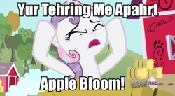 Size: 852x467 | Tagged: safe, edit, edited screencap, screencap, sweetie belle, one bad apple, caption, image macro, meme, the room, tommy wiseau, you're tearing me apart lisa