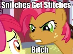 Size: 637x469 | Tagged: safe, screencap, apple bloom, babs seed, one bad apple, image macro, meme, vulgar