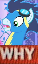 Size: 288x483 | Tagged: safe, soarin', pegasus, pony, blue coat, blue mane, blue tail, male, meme, reaction image, solo, stallion, why.jpg, wings