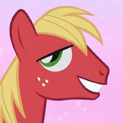 Size: 256x256 | Tagged: safe, big macintosh, earth pony, pony, male, smiling, stallion, surprisingly creepy