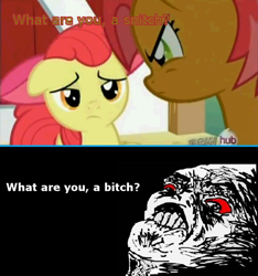 Size: 500x535 | Tagged: safe, apple bloom, babs seed, one bad apple, oh snap, rage face