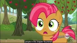 Size: 1920x1080 | Tagged: safe, screencap, babs seed, earth pony, pony, one bad apple, female, filly, youtube caption