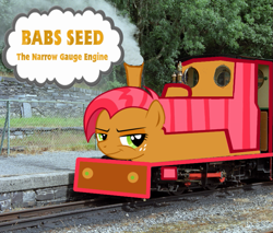 Size: 801x683 | Tagged: safe, artist:kuren247, babs seed, pony, crossover, freckles, irl, smiling, solo, text, thomas the tank engine, train