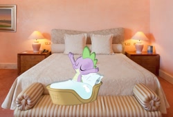 Size: 1200x817 | Tagged: safe, artist:ppyfmlp, spike, bed, hotel room, irl, photo, ponies in real life, vector