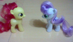 Size: 627x367 | Tagged: safe, apple bloom, sweetie belle, pony, brushable, irl, photo, toy