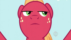 Size: 854x480 | Tagged: safe, screencap, big macintosh, earth pony, pony, the super speedy cider squeezy 6000, frown, male, serious face, serious mac, solo, stallion