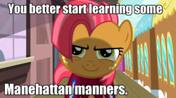 Size: 1275x710 | Tagged: safe, babs seed, one bad apple, caption, face, image macro, manehattan