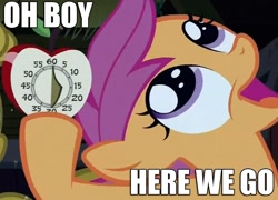 Size: 1088x783 | Tagged: safe, scootaloo, one bad apple, image macro, oh boy here we go, reaction image, solo