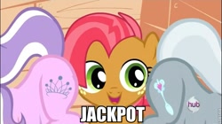 Size: 725x407 | Tagged: safe, edit, edited screencap, screencap, babs seed, diamond tiara, silver spoon, one bad apple, caption, image macro, jackpot, plot