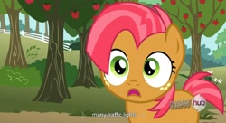 Size: 1575x857 | Tagged: safe, screencap, babs seed, earth pony, pony, female, filly, youtube caption, youtube link