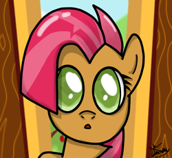 Size: 2400x2200 | Tagged: safe, artist:misterhailfire, artist:mrdynasty, babs seed, earth pony, brown coat, female, filly, freckles, solo, two toned mane