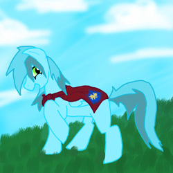 Size: 894x894 | Tagged: safe, artist:nekolyz, oc, oc only, pegasus, pony, cape, clothes