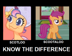 Size: 481x375 | Tagged: safe, scootaloo, g3.5, eldritch abomination, image macro, scotloo