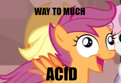 Size: 468x321 | Tagged: safe, scootaloo, pegasus, derp, female, filly, image macro, orange coat, purple mane, solo