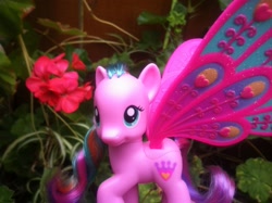 Size: 2592x1936 | Tagged: safe, artist:captianshelby, pony, brushable, glimmer wings, irl, official, photo, ploomette, solo, toy